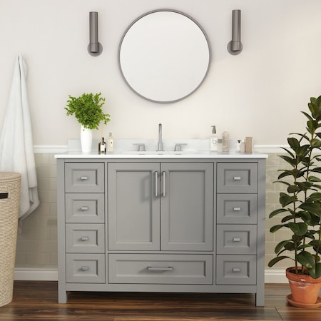 Flash Furniture Vega 48 Inch Bathroom Vanity w/Sink, Storage Cabinet w/Soft Close Doors, and 9 Drawers, Gray FS-BN-2-48-GY-GG